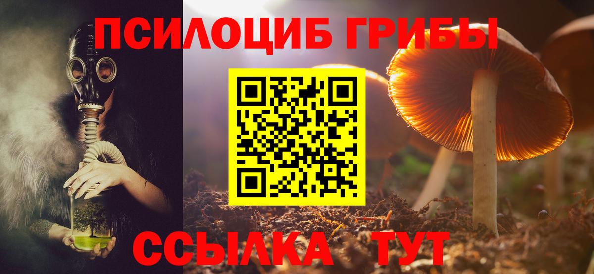 Клин  Псилоцибиновые грибы Psilocybe  Вход с VPN 