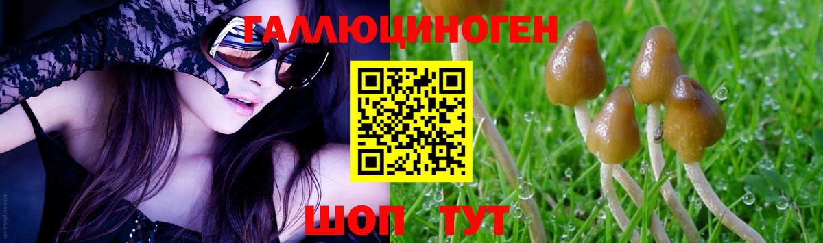 Галлюциногенные грибы Psilocybe Клин